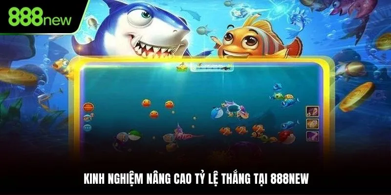 Áp dụng các kinh nghiệm để nhận thường dễ dàng