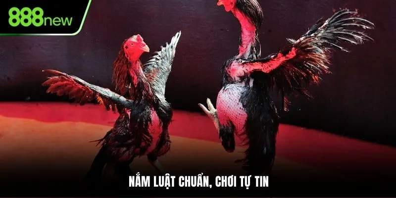 Nắm luật 888NEW chuẩn, chơi tự tin