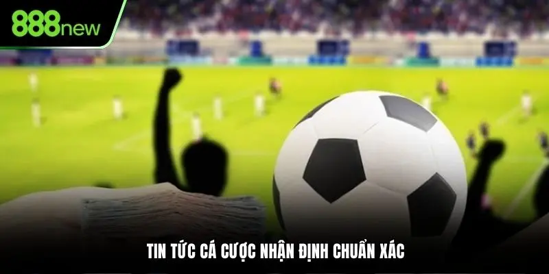 Tin tức cá cược nhận định chuẩn xác