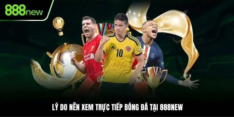 Lý do nên xem trực tiếp bóng đá tại 888NEW